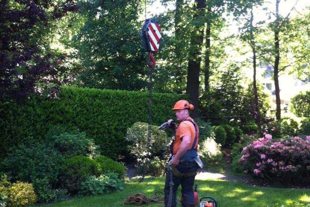 Met behulp van lijnen de boom rooien in Vught